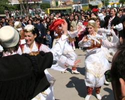 Dita e veres elbasan 2011